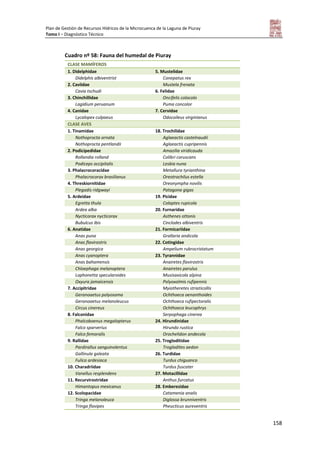 Plan de Gestión de Recursos Hídricos de la Microcuenca de la Laguna de Piuray
Tomo I – Diagnóstico Técnico
158
Cuadro nº 58: Fauna del humedal de Piuray
CLASE MAMÍFEROS
1. Didelphidae 5. Mustelidae
Didelphis albiventrist Conepatus rex
2. Caviidae Mustela frenata
Cavia tschudi 6. Felidae
3. Chinchillidae Oncifelis colocolo
Lagidium peruanum Puma concolor
4. Canidae 7. Cervidae
Lycalopex culpaeus Odocoileus virginianus
CLASE AVES
1. Tinamidae 18. Trochilidae
Nothoprocta ornata Aglaeactis castelnaudii
Nothoprocta pentlandii Aglaeactis cupripennis
2. Podicipedidae Amazilia viridicauda
Rollandia rolland Colibri coruscans
Podiceps occipitalis Lesbia nuna
3. Phalacrocoracidae Metallura tyrianthina
Phalacrocorax brasilianus Oreotrochilus estella
4. Threskiornitidae Oreonympha novilis
Plegadis ridgwayi Patagona gigas
5. Ardeidae 19. Picidae
Egretta thula Colaptes rupicola
Ardea alba 20. Furnaridae
Nycticorax nycticorax Asthenes ottonis
Bubulcus ibis Cinclodes albiventris
6. Anatidae 21. Formicariidae
Anas puna Grallaria andicola
Anas flavirostris 22. Cotingidae
Anas georgica Ampelium rubrocristatum
Anas cyanoptera 23. Tyrannidae
Anas bahamensis Anairetes flavirostris
Chloephaga melanoptera Anairetes parulus
Lophonetta specularoides Musisaxicola alpina
Oxyura jamaicensis Polyoxolmis rufipennis
7. Accipitridae Myiotheretes striaticollis
Geranoaetus polyosoma Ochthoeca oenanthoides
Geranoaetus melanoleucus Ochthoeca rufipectoralis
Circus cinereus Ochthoeca leucophrys
8. Falconidae Serpophaga cinerea
Phalcoboenus megalopterus 24. Hirundinidae
Falco sparverius Hirundo rustica
Falco femoralis Orochelidon andecola
9. Rallidae 25. Trogloditidae
Pardirallus sanguinolentus Troglodites aedon
Gallinula galeata 26. Turdidae
Fulica ardesiaca Turdus chiguanco
10. Charadriidae Turdus fuscater
Vanellus resplendens 27. Motacillidae
11. Recurvirostridae Anthus furcatus
Himantopus mexicanus 28. Emberezidae
12. Scolopacidae Catamenia analis
Tringa melanoleuca Diglossa brunniventris
Tringa flavipes Pheucticus aureventris
 
