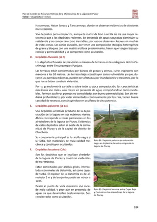Plan de Gestión de Recursos Hídricos de la Microcuenca de la Laguna de Piuray
Tomo I – Diagnóstico Técnico
184
Hatunmayo, Hatun Soncco y Tanccarmayu, donde se observan evidencias de aluviones
muy recientes.
Son depósitos poco compactos, aunque la matriz de limo o arcilla les da una mayor re-
sistencia que a los depósitos recientes. En presencia de aguas saturadas disminuye su
resistencia y se comportan como inestables; por eso se observan cárcavas en muchas
de estas zonas. Los conos aluviales, por tener una composición litológica heterogénea
de grava y bloques con una matriz arcillosa predominante, hacen que tengan baja po-
rosidad y permeabilidad y se comporten como acuitardos.
D. Depósitos fluviales (Q-fl)
Los depósitos fluviales se presentan a manera de terrazas en las márgenes del río Ca-
chimayo, entre Tincuypampa y Pucyura.
Las terrazas están conformadas por bancos de gravas y arenas, cuyos espesores son
menores a los 10 metros. Las terrazas bajas constituyen zonas vulnerables ya que, du-
rante las avenidas máximas, pueden ser afectadas por inundaciones y erosiones, por lo
que no se deben construir viviendas.
Por su granulometría variable y sobre todo su poca compactación, las características
mecánicas son malas, aún mayor en presencia de agua, comportándose como inesta-
bles. Forman acuíferos porosos no consolidados con buena permeabilidad. Son de me-
diana profundidad y, por estar alimentados continuamente por los ríos, tienen buena
cantidad de reservas, constituyéndose en acuíferos de alto potencial.
E. Depósitos palustres (Q-pa)
Son depósitos arcillosos producto de la depo-
sitación de la laguna en sus máximos niveles.
Ahora corresponde a zonas pantanosas en los
alrededores de la laguna de Piuray. Evidencias
de estos depósitos están al oeste de la comu-
nidad de Piuray y de la capital de distrito de
Chinchero.
Su componente principal es la arcilla negra y
la turba. Son materiales de mala calidad me-
cánica y constituyen acuitardos.
F. Depósitos lacustres (Q-la)
Son los depósitos que se localizan alrededor
de la laguna de Piuray y muestran evidencias
de su retroceso.
Están constituidos por arcillas grises, interca-
ladas con niveles de diatomita, así como capas
de turba. El espesor de la diatomita es de al-
rededor 2 m y del conjunto puede ser mayor a
10 m.
Desde el punto de vista mecánico son rocas
de mala calidad, y peor aún en presencia de
aguas ya que desarrollan deslizamientos. Son
considerados como acuitardos.
Foto 88. Depósito palustre de coloración
negra en la planicie lacustre antigua de la
laguna de Piuray.
Foto 89. Depósito lacustre entre Cuper Bajo
y Ocutuán en los alrededores de la laguna
de Piuray.
 