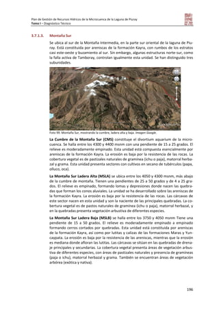 Plan de Gestión de Recursos Hídricos de la Microcuenca de la Laguna de Piuray
Tomo I – Diagnóstico Técnico
196
3.7.1.3. Montaña Sur
Se ubica al sur de la Montaña Intermedia, en la parte sur oriental de la laguna de Piu-
ray. Está constituida por areniscas de la formación Kayra, con rumbos de los estratos
casi este-oeste y buzamiento al sur. Sin embargo, algunas estructuras norte-sur, como
la falla activa de Tamboray, controlan igualmente esta unidad. Se han distinguido tres
subunidades.
Foto 99. Montaña Sur, mostrando la cumbre, ladera alta y baja. Imagen Google.
La Cumbre de la Montaña Sur (CMS) constituye el divortium aquarium de la micro-
cuenca. Se halla entre los 4300 y 4400 msnm con una pendiente de 15 a 25 grados. El
relieve es moderadamente empinado. Esta unidad está compuesta esencialmente por
areniscas de la formación Kayra. La erosión es baja por la resistencia de las rocas. La
cobertura vegetal es de pastizales naturales de gramínea (ichu o paja), matorral herba-
zal y grama. Esta unidad presenta sectores con cultivos en secano de tubérculos (papa,
olluco, oca).
La Montaña Sur Ladera Alta (MSLA) se ubica entre los 4050 y 4300 msnm, más abajo
de la cumbre de montaña. Tienen una pendientes de 25 a 50 grados y de 4 a 25 gra-
dos. El relieve es empinado, formando lomas y depresiones donde nacen las quebra-
das que forman los conos aluviales. La unidad se ha desarrollado sobre las areniscas de
la formación Kayra. La erosión es baja por la resistencia de las rocas. Las cárcavas de
este sector nacen en esta unidad y son la naciente de las principales quebradas. La co-
bertura vegetal es de pastos naturales de gramínea (ichu o paja), matorral herbazal, y
en la quebradas presenta vegetación arbustiva de diferentes especies.
La Montaña Sur Ladera Baja (MSLB) se halla entre los 3750 y 4050 msnm Tiene una
pendiente de 15 a 50 grados. El relieve es moderadamente empinado a empinado
formando cerros cortados por quebradas. Esta unidad está constituida por areniscas
de la formación Kayra, así como por lutitas y calizas de las formaciones Maras y Yun-
caypata. La erosión es baja por la resistencia de las areniscas, mientras que la erosión
es mediana donde afloran las lutitas. Las cárcavas se sitúan en las quebradas de drena-
je principales y secundarias. La cobertura vegetal presenta áreas de vegetación arbus-
tiva de diferentes especies, con áreas de pastizales naturales y presencia de gramíneas
(paja o ichu), matorral herbazal y grama. También se encuentran áreas de vegetación
arbórea (exótica y nativa).
 