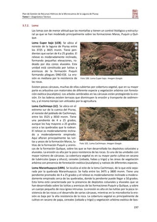 Plan de Gestión de Recursos Hídricos de la Microcuenca de la Laguna de Piuray
Tomo I – Diagnóstico Técnico
197
3.7.2. Loma
Las lomas son de menor altitud que las montañas y tienen un control litológico y estructu-
ral ya que se han modelado principalmente sobre las formaciones Maras, Puquín y Quil-
que.
Loma Cuper bajo (LCB). Se ubica al
noreste de la laguna de Piuray entre
los 3725 y 3825 msnm. Tiene pen-
dientes que varían de 4 a 25 grados. El
relieve es moderadamente inclinado,
formando pequeñas elevaciones, ro-
deado por dos conos aluviales. Esta
unidad está constituida por lutitas y
areniscas de la formación Puquín
formando pliegues ONO-ESE. La ero-
sión es mediana por la resistencia de
las rocas.
Existen pocas cárcavas, muchas de ellas cubiertas por cobertura vegetal, que en su mayor
parte es arbustiva con matorrales de diferente especie y vegetación arbórea con foresta-
ción exótica (eucaliptos). Los arboles sembrados en las cárcavas están protegiendo la ero-
sión. En las laderas existen terrazas que disminuyen la erosión y transporte de sedimen-
tos, y al mismo tiempo son utilizados por la agricultura.
Loma Cachimayo (LC). Se ubica en el
extremo sur de la cuenca del Piuray,
al noreste del poblado de Cachimayo,
entre los 3525 y 3650 msnm. Tiene
una pendiente de 4 a 25 grados,
aunque los hay mayores a 25 grados
cerca a las quebradas que la rodean.
El relieve es moderadamente inclina-
do a moderadamente empinado.
Aquí afloran principalmente las luti-
tas y yesos de la formación Maras, lu-
titas de la formación Puquín y arenis-
cas de la formación Quilque, sobre los que se han desarrollado los depósitos coluviales y
eluviales. La erosión es alta por la poca resistencia de las rocas. Es una de las unidades con
mayor número de cárcavas. La cobertura vegetal es en su mayor parte cultivo en secano
de tubérculos (papa y olluco), cereales (cebada, habas y trigo) y las áreas de vegetación
arbórea con presencia de forestación exótica (eucaliptos) y nativos de diferentes especies.
Loma Maranhuaycco (LMh). Se localiza al este de la loma Cachimayo, de la que está sepa-
rada por la quebrada Maranhuaycco. Se halla entre los 3475 y 3800 msnm. Tiene una
pendiente promedio de 4 a 25 grados y el relieve es moderadamente inclinado a modera-
damente empinado cerca de las quebradas, donde la pendiente puede llegar a 50 grados.
Esta loma está caracterizada por la presencia de depósitos coluviales y eluviales que se
han desarrollado sobre las lutitas y areniscas de las formaciones Puquín y Quilque, y sobre
un cuerpo pequeño de roca ígnea intrusiva. La erosión es alta en las lutitas por la poca re-
sistencia de las rocas y el desarrollo de varias cárcavas, mientras en la microdiorita la ero-
sión es baja por la alta resistencia de la roca. La cobertura vegetal es principalmente de
cultivo en secano de papa, cereales (cebada y trigo) y vegetación arbórea exótica de bos-
Foto 100. Loma Cuper bajo. Imagen Google.
Foto 101. Loma Cachimayo. Imagen Google.
 