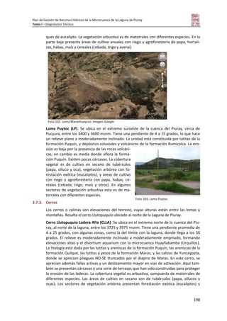 Plan de Gestión de Recursos Hídricos de la Microcuenca de la Laguna de Piuray
Tomo I – Diagnóstico Técnico
198
ques de eucalipto. La vegetación arbustiva es de matorrales con diferentes especies. En la
parte baja presenta áreas de cultivo anuales con riego y agroforestería de papa, hortali-
zas, habas, maíz y cereales (cebada, trigo y avena).
Foto 102. Loma Maranhuaycco. Imagen Google.
Loma Puytoc (LP). Se ubica en el extremo suroeste de la cuenca del Piuray, cerca de
Pucyura, entre los 3400 y 3600 msnm. Tiene una pendiente de 4 a 15 grados, lo que hace
un relieve plano a moderadamente inclinado. La unidad está constituida por lutitas de la
formación Puquín, y depósitos coluviales y volcánicos de la formación Rumicolca. La ero-
sión es baja por la presencia de las rocas volcáni-
cas; en cambio es media donde aflora la forma-
ción Puquín. Existen pocas cárcavas. La cobertura
vegetal es de cultivo en secano de tubérculos
(papa, olluco y oca), vegetación arbórea con fo-
restación exótica (eucaliptos), y áreas de cultivo
con riego y agroforestería con papa, habas, ce-
reales (cebada, trigo, maíz y otros). En algunos
sectores de vegetación arbustiva esta es de ma-
torrales con diferentes especies.
3.7.3. Cerros
Los cerros o colinas son elevaciones del terreno, cuyas alturas están entre las lomas y
montañas. Resalta el cerro Llutopuquio ubicado al norte de la Laguna de Piuray.
Cerro Llutopuquio Ladera Alta (CLLA). Se ubica en el extremo norte de la cuenca del Piu-
ray, al norte de la laguna, entre los 3725 y 3975 msnm. Tiene una pendiente promedio de
4 a 25 grados, con algunas zonas, como la del límite con la laguna, donde llega a los 50
grados. El relieve es moderadamente inclinado a moderadamente empinado, formando
elevaciones altas y el divortium aquarium con la microcuenca Huayllabamba (Urquillos).
La litología está dada por las lutitas y areniscas de la formación Puquín, las areniscas de la
formación Quilque, las lutitas y yesos de la formación Maras, y las calizas de Yuncaypata,
donde se aprecian pliegues NO-SE truncados por el diapiro de Maras. En este cerro, se
aprecian además fallas activas y un deslizamiento mayor en vías de activación. Aquí tam-
bién se presentan cárcavas y una serie de terrazas que han sido construidas para proteger
la erosión de las laderas. La cobertura vegetal es arbustiva, compuesta de matorrales de
diferentes especies. Las áreas de cultivo en secano son de tubérculos (papa, ollucos y
ocas). Los sectores de vegetación arbórea presentan forestación exótica (eucaliptos) y
Foto 103. Loma Puytoc.
 