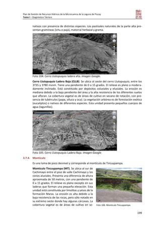 Plan de Gestión de Recursos Hídricos de la Microcuenca de la Laguna de Piuray
Tomo I – Diagnóstico Técnico
199
nativos con presencia de distintas especies. Los pastizales naturales de la parte alta pre-
sentan gramíneas (ichu o paja), matorral herbazal y grama.
Foto 104. Cerro Llutopuquio ladera alta. Imagen Google.
Cerro Llutopuquio Ladera Baja (CLLB). Se ubica al oeste del cerro Llutopuquio, entre los
3735 y 3780 msnm. Tiene una pendiente de 0 a 15 grados. El relieve es plano a modera-
damente inclinado. Está constituido por depósitos coluviales y eluviales. La erosión es
mediana debido a la baja pendiente del área y la alta resistencia de los diferentes suelos
que afloran. La cobertura vegetal es de áreas de cultivo en secano de rotación, con pre-
sencia de tubérculos (papa, olluco y oca). La vegetación arbórea es de forestación exótica
(eucaliptos) o nativos de diferentes especies. Esta unidad presenta pequeños cuerpos de
agua (lagunillas).
Foto 105. Cerro Llutopuquio Ladera Baja. Imagen Google.
3.7.4. Montículo
Es una loma de poco desnivel y corresponde al montículo de Tincuypampa.
Montículo Tincuypampa (MT). Se ubica al sur de
Cachimayo entre el piso de valle Cachimayo y los
conos aluviales. Presenta una diferencia de altura
aproximada de 50 metros, con una pendiente de
0 a 15 grados. El relieve es plano excepto en sus
laderas que forman una pequeña elevación. Esta
unidad está constituida por limolitas y yesos de la
formación Maras. La erosión es alta debido a la
baja resistencia de las rocas, pero sólo notado en
su extremo oeste donde hay algunas cárcavas. La
cobertura vegetal es de áreas de cultivo en se- Foto 106. Montículo Tincuypampa.
 