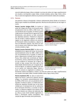 Plan de Gestión de Recursos Hídricos de la Microcuenca de la Laguna de Piuray
Tomo I – Diagnóstico Técnico
200
cano de tubérculos (papa, olluco y cebada). Las áreas de cultivo con riego y agroforestería
son anuales y corresponde a papa, habas, cereales (cebada, avena, trigo, maíz) y otros.
Hay un sector de vegetación arbórea con presencia de forestación exótica de eucaliptos.
3.7.5. Planicies
Una planicie o llanura corresponde a relieves relativamente planos donde se ha desarro-
llado en gran medida las actividades agrícolas. Muchas de estas planicies son de origen la-
custre.
Planicie Lacustre Antigua (PLA). Se localiza al
oeste de la laguna de Piuray. Se encuentra apro-
ximadamente entre los 3695 y 3700 msnm, con
una pendiente de 0 a 4 grados. El relieve es plano
a ligeramente inclinado hacia la laguna de Piuray.
Actualmente, está planicie se halla constituida
por depósitos palustres. Predomina la deposita-
ción de arcillas y materia orgánica. La cobertura
vegetal es de vegetación arbórea con presencia
de forestación exótica (eucaliptos), y algunos na-
tivos de diferentes especies. Hay áreas de culti-
vos en secano como tubérculos (papa, ollucos) y
cereales (cebada y trigo).
Planicie Lacustre Reciente (PLR). Se ubica en los
alrededores de la laguna de Piuray. Se encuentra
aproximadamente entre los 3685 y 3695 msnm,
con una pendiente de 0 a 4 grados. El relieve es
plano a ligeramente inclinado hacia la laguna de
Piuray. Esta unidad está constituida por depósi-
tos de limos, arenas y diatomitas de origen lacus-
tre que evidencia el retroceso de la laguna. La
erosión es baja, aunque hace años aquí se han
desarrollado deslizamientos por la bajada del ni-
vel de la laguna. La cobertura vegetal es de culti-
vo en secano con tubérculos (papa, ollucos y
ocas). En sectores la vegetación es arbórea con
forestación exótica (eucaliptos) y nativos. Las áreas de cultivo con riego y agroforestería
son anuales como papa, habas, cereales (cebada, avena, trigo y maíz) y otros.
Planicie Huilahuila (PH). Se ubica al oeste de la
laguna de Piuray y oeste de la planicie lacustre
antigua. Se encuentra aproximadamente entre
los 3700 y 3750 msnm, con una pendiente de 0 a
4 grados. El relieve es plano. La unidad está cons-
tituida por depósitos eluviales que se han desa-
rrollado por el intemperismo de los sedimentos
de la formación Chinchero. La erosión es baja a
media. La cobertura vegetal es de cultivos en se-
cano de rotación con cultivos de tubérculos (pa-
pa, olluco y ocas). Existe también vegetación ar-
bórea y forestación exótica (eucaliptos). Hay
cuerpos de agua formando zonas pantanosas.
Foto 107. Depósitos de materia orgánica en
la planicie lacustre antigua.
Foto 109. Planicie Huilahuila cerca a
Chinchero.
Foto 108. Planicie lacustre reciente al
suroeste de Cuper bajo.
 
