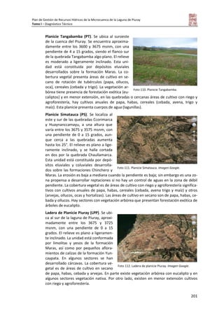 Plan de Gestión de Recursos Hídricos de la Microcuenca de la Laguna de Piuray
Tomo I – Diagnóstico Técnico
201
Planicie Tangabamba (PT). Se ubica al suroeste
de la cuenca del Piuray. Se encuentra aproxima-
damente entre los 3600 y 3675 msnm, con una
pendiente de 4 a 15 grados, siendo el flanco sur
de la quebrada Tangabamba algo plano. El relieve
es moderado a ligeramente inclinado. Esta uni-
dad está constituida por depósitos eluviales
desarrollados sobre la formación Maras. La co-
bertura vegetal presenta áreas de cultivo en se-
cano de rotación de tubérculos (papa, ollucos,
oca), cereales (cebada y trigo). La vegetación ar-
bórea tiene presencia de forestación exótica (eu-
caliptos) y en menor extensión, en las quebradas o cercanas áreas de cultivo con riego y
agroforestería, hay cultivos anuales de papa, habas, cereales (cebada, avena, trigo y
maíz). Esta planicie presenta cuerpos de agua (lagunillas).
Planicie Simatauca (PS). Se localiza al
este y sur de las quebradas Ccorimarca
y Huaynanccamayu, a una altura que
varía entre los 3675 y 3575 msnm, con
una pendiente de 0 a 15 grados, aun-
que cerca a las quebradas aumenta
hasta los 25°. El relieve es plano a lige-
ramente inclinado, y se halla cortada
en dos por la quebrada Chaullamarca.
Esta unidad está constituida por depó-
sitos eluviales y coluviales desarrolla-
dos sobre las formaciones Chinchero y
Maras. La erosión es baja a mediana cuando la pendiente es baja; sin embargo es una zo-
na propensa a desarrollar reptaciones si no hay un control de aguas en la zona de débil
pendiente. La cobertura vegetal es de áreas de cultivo con riego y agroforestería significa-
tivos con cultivos anuales de papa, habas, cereales (cebada, avena trigo y maíz) y otros
(arvejas, ollucos, ocas y hortalizas). Las áreas de cultivo en secano son de papa, habas, ce-
bada y ollucos. Hay sectores con vegetación arbórea que presentan forestación exótica de
árboles de eucalipto.
Ladera de Planicie Piuray (LPP). Se ubi-
ca al sur de la laguna de Piuray, aproxi-
madamente entre los 3675 y 3725
msnm, con una pendiente de 0 a 15
grados. El relieve es plano a ligeramen-
te inclinado. La unidad está conformada
por limolitas y yesos de la formación
Maras, así como por pequeños aflora-
mientos de calizas de la formación Yun-
caypata. En algunos sectores se han
desarrollado cárcavas. La cobertura ve-
getal es de áreas de cultivo en secano
de papa, habas, cebada y arvejas. En parte existe vegetación arbórea con eucalipto y en
algunos sectores vegetación nativa. Por otro lado, existen en menor extensión cultivos
con riego y agroforestería.
Foto 110. Planicie Tangabamba.
Foto 111. Planicie Simatauca. Imagen Google.
Foto 112. Ladera de planicie Piuray. Imagen Google.
 