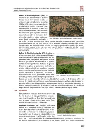 Plan de Gestión de Recursos Hídricos de la Microcuenca de la Laguna de Piuray
Tomo I – Diagnóstico Técnico
202
Ladera de Planicie Ayarmaca (LPA). Se
localiza al sur de la ladera de planicie
Piuray siendo muy similar a ésta. Se
encuentra aproximadamente entre los
3550 y 3650 msnm, con una pendiente
predominante de 15 a 25 grados. El re-
lieve es plano y, en zonas locales, mo-
deradamente inclinado. Esta unidad es-
tá constituida por depósitos eluviales
desarrollados sobre la formación Chin-
chero. La erosión es baja a media, ex-
cepto donde empiezan las quebradas y
nacen las cárcavas, que muestran fuerte erosión. La cobertura vegetal está constituida
por cultivos en secano con papa, ollucos y ocas, así como cereales (cebada y trigo) y culti-
vos de habas. Hay áreas de cultivo anuales con riego y agroforestería como papa, habas,
cereales (trigo, cebada, avena y maíz) y otros (arvejas, ollucos y hortalizas), así como áreas
con eucalipto.
Ladera de Planicie Incatambo (LPI). Se ubica en
el extremo oeste de la microcuenca del Piuray, a
una altura entre los 3550 y 3725 msnm, con una
pendiente de 0 a 15 grados, excepto en las que-
braditas que se han desarrollado en la planicie
donde alcanzan pendientes de hasta 25 grados.
El relieve es plano a ligeramente inclinado. La
unidad está constituida por depósitos eluviales,
que son producto del intemperismo de los limos,
arcillas y gravas de la formación Chincheros. La
erosión era alta en las quebraditas antes men-
cionadas, pero éstas se hallan protegidas con ar-
bustos que le dan estabilidad a la erosión. La cobertura vegetal es de áreas de cultivo en
secano de rotación con cultivos de papa, habas, cebada, avena y ollucos. Las áreas de ve-
getación arbórea son de eucalipto en las quebradas. Los otros sectores de vegetación ar-
bustiva presentan matorrales de diferentes especies. Existen también áreas de cultivo con
riegos anuales y agroforestería con papa, habas y cereales (cebada, trigo y avena).
3.7.6. Quebradas
Son geoformas producto de la fuerte erosión de
los ríos o cursos de agua, permanente o estacio-
nal. A continuación se describen las quebradas
más grandes e importantes, tales como Ccori-
marca, Huaynanccamayu y Tancamayo.
Quebrada Ccorimarca (QC). Se ubica en la parte
central de la cuenca del Piuray, y nace como pro-
ducto de la desembocadura de la laguna de Piu-
ray. Entre su naciente y el río Cachimayo presen-
ta una diferencia de altura de más de 130 metros,
con una pendiente de 15 a 50 grados en los flan-
cos, y 0 a 15 grados en el cauce. El relieve es moderadamente empinado a empinado. En
las laderas, esta unidad ha erosionado las arcillas, limos y gravas de la formación Chinche-
Foto 113. Ladera de planicie Ayarmaca. Imagen Google.
Foto 114. Ladera de planicie Incatambo.
Foto 115. Quebrada Ccorimarca.
 