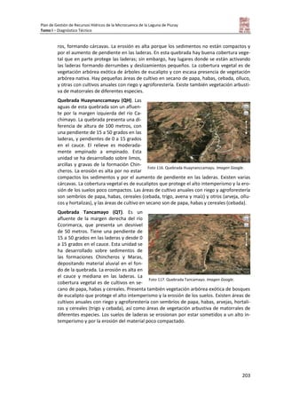 Plan de Gestión de Recursos Hídricos de la Microcuenca de la Laguna de Piuray
Tomo I – Diagnóstico Técnico
203
ros, formando cárcavas. La erosión es alta porque los sedimentos no están compactos y
por el aumento de pendiente en las laderas. En esta quebrada hay buena cobertura vege-
tal que en parte protege las laderas; sin embargo, hay lugares donde se están activando
las laderas formando derrumbes y deslizamientos pequeños. La cobertura vegetal es de
vegetación arbórea exótica de árboles de eucalipto y con escasa presencia de vegetación
arbórea nativa. Hay pequeñas áreas de cultivo en secano de papa, habas, cebada, olluco,
y otras con cultivos anuales con riego y agroforestería. Existe también vegetación arbusti-
va de matorrales de diferentes especies.
Quebrada Huaynanccamayu (QH). Las
aguas de esta quebrada son un afluen-
te por la margen izquierda del río Ca-
chimayo. La quebrada presenta una di-
ferencia de altura de 100 metros, con
una pendiente de 15 a 50 grados en las
laderas, y pendientes de 0 a 15 grados
en el cauce. El relieve es moderada-
mente empinado a empinado. Esta
unidad se ha desarrollado sobre limos,
arcillas y gravas de la formación Chin-
cheros. La erosión es alta por no estar
compactos los sedimentos y por el aumento de pendiente en las laderas. Existen varias
cárcavas. La cobertura vegetal es de eucaliptos que protege el alto intemperismo y la ero-
sión de los suelos poco compactos. Las áreas de cultivo anuales con riego y agroforestería
son sembríos de papa, habas, cereales (cebada, trigo, avena y maíz) y otros (arveja, ollu-
cos y hortalizas), y las áreas de cultivo en secano son de papa, habas y cereales (cebada).
Quebrada Tancamayo (QT). Es un
afluente de la margen derecha del río
Ccorimarca, que presenta un desnivel
de 50 metros. Tiene una pendiente de
15 a 50 grados en las laderas y desde 0
a 15 grados en el cauce. Esta unidad se
ha desarrollado sobre sedimentos de
las formaciones Chincheros y Maras,
depositando material aluvial en el fon-
do de la quebrada. La erosión es alta en
el cauce y mediana en las laderas. La
cobertura vegetal es de cultivos en se-
cano de papa, habas y cereales. Presenta también vegetación arbórea exótica de bosques
de eucalipto que protege el alto intemperismo y la erosión de los suelos. Existen áreas de
cultivos anuales con riego y agroforestería con sembríos de papa, habas, arvejas, hortali-
zas y cereales (trigo y cebada), así como áreas de vegetación arbustiva de matorrales de
diferentes especies. Los suelos de laderas se erosionan por estar sometidos a un alto in-
temperismo y por la erosión del material poco compactado.
Foto 116. Quebrada Huaynanccamayu. Imagen Google.
Foto 117. Quebrada Tancamayo. Imagen Google.
 