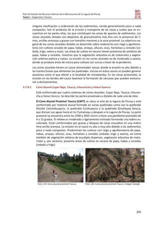 Plan de Gestión de Recursos Hídricos de la Microcuenca de la Laguna de Piuray
Tomo I – Diagnóstico Técnico
205
ninguna clasificación u ordenación de los sedimentos, siendo generalmente poco o nada
compactos. Son el producto de la erosión y transporte de las rocas y suelos que se en-
cuentran en las partes altas, los que constituyen las zonas de aportes de sedimentos. Los
conos aluviales distales son depósitos de granulometría más fina con la presencia de li-
mos, arcillas arenosas y gravas con tamaños menores a la zona proximal. La cobertura ve-
getal de los conos aluviales distales se desarrolla sobre andenerías con riego y agrofores-
tería con cultivos anuales de papa, habas, arvejas, ollucos, ocas, hortalizas y cereales (ce-
bada, trigo, avena y maíz). Las áreas de cultivo en secano tienen presencia de sembríos de
papa, habas y cereales, mientras que la vegetación arbustiva es de matorrales y vegeta-
ción arbórea exótica y nativa. La erosión en los conos aluviales es de moderada a severa,
donde se produce áreas de rotura para cultivos con surcos a favor de la pendiente.
Los conos aluviales tienen un cauce alimentador actual, donde la erosión es alta debido a
las fuertes lluvias que alimentan las quebradas. Incluso en estos cauces se pueden generar
aluviones como el que afectó a la localidad de Umasbamba. En las zonas proximales, la
erosión en los bordes del cauce favorece la formación de cárcavas que pueden evolucio-
nar a deslizamientos.
3.7.8.1. Cono Aluvial Cuper Bajo, Taucca, Ichucancha y Hatun Soncco
Está conformado por cuatro sistemas de conos aluviales: Cuper Bajo, Taucca, Ichucan-
cha y Hatun Soncco. Se describe las partes proximales y distales de cada uno de ellos.
El Cono Aluvial Proximal Taucca (CAPT) se ubica al este de la laguna de Piuray y está
conformado por material aluvial formado en varias quebradas como son la quebrada
Oscollo Canchahuaycco, la quebrada Cusihuaycco y la quebrada Q'euñayoq Sancca,
que drenan sus aguas hacia el río Tumamayu y después a la Laguna de Piuray. La parte
proximal se encuentra entre los 3700 y 3925 msnm y tiene una pendiente promedio de
4 a 15 grados. El relieve es moderado a ligeramente inclinado formando una ladera es-
calonada. Están conformados por gravas y bloques de rocas envueltas en una matriz
limo-arcillo arenosa. La erosión en el cauce es alta a muy alta debido a los sedimentos
poco a nada compactos. Predominan los cultivos con riego y agroforestería de papa,
habas, arvejas, ollucos, ocas, hortalizas y cereales (cebada, trigo y avena), así como
también de vegetación arbórea de eucalipto dispersos, vegetación arbustiva de mato-
rrales y, por sectores, presenta áreas de cultivo en secano de papa, habas y cereales
(cebada y trigo).
Foto 119. Cono aluvial proximal Taucca. Foto 120. Cono aluvial proximal Taucca. Imagen Google.
 