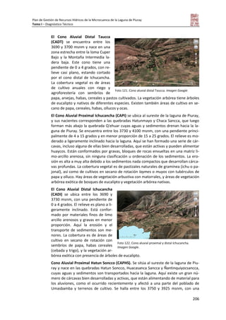 Plan de Gestión de Recursos Hídricos de la Microcuenca de la Laguna de Piuray
Tomo I – Diagnóstico Técnico
206
El Cono Aluvial Distal Taucca
(CADT) se encuentra entre los
3690 y 3700 msnm y nace en una
zona estrecha entre la loma Cuper
Bajo y la Montaña Intermedia la-
dera baja. Este cono tiene una
pendiente de 0 a 4 grados, con re-
lieve casi plano, estando cortado
por el cono distal de Ichucancha.
La cobertura vegetal es de áreas
de cultivo anuales con riego y
agroforestería con sembríos de
papa, arvejas, habas, cereales y pastos cultivados. La vegetación arbórea tiene árboles
de eucalipto y nativos de diferentes especies. Existen también áreas de cultivo en se-
cano de papa, cereales, habas, ollucos y ocas.
El Cono Aluvial Proximal Ichucancha (CAPI) se ubica al sureste de la laguna de Piuray,
y sus nacientes corresponden a las quebradas Hatunmayo y Chaca Sancca, que luego
forman más abajo la quebrada Q'ehuar cuyas aguas y sedimentos drenan hacia la la-
guna de Piuray. Se encuentra entre los 3730 y 4100 msnm, con una pendiente princi-
palmente de 4 a 15 grados y en menor proporción de 15 a 25 grados. El relieve es mo-
derado a ligeramente inclinado hacia la laguna. Aquí se han formado una serie de cár-
cavas, incluso alguna de ellas bien desarrolladas, que están activas y pueden alimentar
huaycos. Están conformados por gravas, bloques de rocas envueltas en una matriz li-
mo-arcillo arenosa, sin ninguna clasificación u ordenación de los sedimentos. La ero-
sión es alta a muy alta debido a los sedimentos nada compactos que desarrollan cárca-
vas profundas. La cobertura vegetal es de pastizales naturales de gramínea (ichu o pa-
jonal), así como de cultivos en secano de rotación laymes o muyos con tubérculos de
papa y olluco. Hay áreas de vegetación arbustiva con matorrales, y áreas de vegetación
arbórea exótica de bosques de eucalipto y vegetación arbórea nativas.
El Cono Aluvial Distal Ichucancha
(CADI) se ubica entre los 3690 y
3730 msnm, con una pendiente de
0 a 4 grados. El relieve es plano a li-
geramente inclinado. Está confor-
mado por materiales finos de limo
arcillo arenosos y gravas en menor
proporción. Aquí la erosión y el
transporte de sedimentos son me-
nores. La cobertura es de áreas de
cultivo en secano de rotación con
sembríos de papa, habas cereales
(cebada y trigo), y la vegetación ar-
bórea exótica con presencia de árboles de eucalipto.
Cono Aluvial Proximal Hatun Soncco (CAPHS). Se sitúa al sureste de la laguna de Piu-
ray y nace en las quebradas Hatun Soncco, Huacasanca Sancca y Ñantinquiyocsancca,
cuyas aguas y sedimentos son transportados hacia la laguna. Aquí existe un gran nú-
mero de cárcavas bien desarrolladas y activas, que están alimentando de material para
los aluviones, como el ocurrido recientemente y afectó a una parte del poblado de
Umasbamba y terrenos de cultivo. Se halla entre los 3750 y 3925 msnm, con una
Foto 121. Cono aluvial distal Taucca. Imagen Google.
Foto 122. Cono aluvial proximal y distal Ichucancha.
Imagen Google.
 