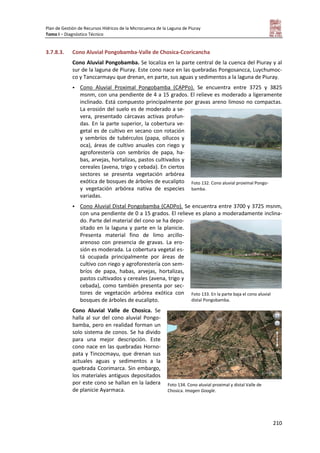 Plan de Gestión de Recursos Hídricos de la Microcuenca de la Laguna de Piuray
Tomo I – Diagnóstico Técnico
210
3.7.8.3. Cono Aluvial Pongobamba-Valle de Chosica-Ccoricancha
Cono Aluvial Pongobamba. Se localiza en la parte central de la cuenca del Piuray y al
sur de la laguna de Piuray. Este cono nace en las quebradas Pongosancca, Luychumoc-
co y Tanccarmayu que drenan, en parte, sus aguas y sedimentos a la laguna de Piuray.
 Cono Aluvial Proximal Pongobamba (CAPPo). Se encuentra entre 3725 y 3825
msnm, con una pendiente de 4 a 15 grados. El relieve es moderado a ligeramente
inclinado. Está compuesto principalmente por gravas areno limoso no compactas.
La erosión del suelo es de moderado a se-
vera, presentado cárcavas activas profun-
das. En la parte superior, la cobertura ve-
getal es de cultivo en secano con rotación
y sembríos de tubérculos (papa, ollucos y
oca), áreas de cultivo anuales con riego y
agroforestería con sembríos de papa, ha-
bas, arvejas, hortalizas, pastos cultivados y
cereales (avena, trigo y cebada). En ciertos
sectores se presenta vegetación arbórea
exótica de bosques de árboles de eucalipto
y vegetación arbórea nativa de especies
variadas.
 Cono Aluvial Distal Pongobamba (CADPo). Se encuentra entre 3700 y 3725 msnm,
con una pendiente de 0 a 15 grados. El relieve es plano a moderadamente inclina-
do. Parte del material del cono se ha depo-
sitado en la laguna y parte en la planicie.
Presenta material fino de limo arcillo-
arenoso con presencia de gravas. La ero-
sión es moderada. La cobertura vegetal es-
tá ocupada principalmente por áreas de
cultivo con riego y agroforestería con sem-
bríos de papa, habas, arvejas, hortalizas,
pastos cultivados y cereales (avena, trigo y
cebada), como también presenta por sec-
tores de vegetación arbórea exótica con
bosques de árboles de eucalipto.
Cono Aluvial Valle de Chosica. Se
halla al sur del cono aluvial Pongo-
bamba, pero en realidad forman un
solo sistema de conos. Se ha divido
para una mejor descripción. Este
cono nace en las quebradas Horno-
pata y Tincocmayu, que drenan sus
actuales aguas y sedimentos a la
quebrada Ccorimarca. Sin embargo,
los materiales antiguos depositados
por este cono se hallan en la ladera
de planicie Ayarmaca.
Foto 132. Cono aluvial proximal Pongo-
bamba.
Foto 133. En la parte baja el cono aluvial
distal Pongobamba.
Foto 134. Cono aluvial proximal y distal Valle de
Chosica. Imagen Google.
 