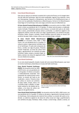 Plan de Gestión de Recursos Hídricos de la Microcuenca de la Laguna de Piuray
Tomo I – Diagnóstico Técnico
212
3.7.8.4. Cono Aluvial Maranhuaycco
Este cono se ubica en el extremo suroeste de la cuenca de Piuray y en la margen dere-
cha del Valle del Cachimayo. Nace de varias quebradas, algunas muy extensas, como
son Hatunpampa, Vaquería y Cahupimarca, que forman el río Challhuamarca que, al
unirse con las quebradas Chaullamarca y Maranhuaycco, forman el río Maranhuaycco
hasta llegar al río Cachimayo. Este cono largo y estrecho nace en la Montaña Sur.
El Cono Aluvial Proximal Maranhuaycco (CAPMh) se encuentra entre los 3450 y 3950
msnm y tiene una pendiente de 0 a 15 grados. El relieve varía de plano a moderada-
mente inclinado. Predominan gravas areno limosas. La erosión del suelo es de mode-
rada a severa, presentando cárcavas activas y profundas. La cobertura vegetal es de
vegetación arbórea, áreas de cultivo con riego y agroforestería, con sembríos de papa,
hortalizas, habas, arvejas y cereales. Existen también áreas de cultivo en secano con
sembríos de papa, habas, arvejas, olluco, oca y cereales (trigo y cebada).
El Cono Aluvial Distal Maranhuaycco
(CADMh) se encuentra entre 3425 y 3450
msnm, con una pendiente de 0 a 4 grados. El
relieve es plano a ligeramente inclinado hacia
el río Cachimayo. El suelo está compuesto de
limos y arcillas con algo de gravas. Presenta
erosión moderada. Las áreas de cultivo tiene
riego y agroforestería con sembríos de papa,
hortalizas, habas, arvejas y cereales (trigo, ce-
bada y avena) y las áreas de vegetación arbó-
rea son árboles de eucalipto.
3.7.8.5. Cono Aluvial Cachimayo
Es un cono aluvial pequeño situado al oeste del cono aluvial Maranhuaycco, que nace
en la loma Cachimayo y desemboca en el piso del Valle Cachimayo.
Cono Aluvial Proximal Cachimayo
(CAPC). Se encuentra entre los 3445
y 3475 msnm, con una pendiente de
0 a 25 grados. El relieve es de plano
a moderadamente empinado. Está
compuesto de material gravo areno
limoso. La erosión del suelo es de
moderada a severa. Presenta áreas
de cultivo en secano con sembríos
de papa, habas, arvejas, olluco, oca
y cereales (trigo y cebada). La vege-
tación arbórea es de árboles de eu-
calipto, y las áreas de cultivo con
riego son de agroforestería.
Cono Aluvial Distal Cachimayo (CADC). Se encuentra entre los 3425 y 3445 msnm, con
una pendiente de 0 a 4 grados. El relieve es de plano a ligeramente inclinado hacia el
río Cachimayo. Está compuesto de material limo arcilloso. La erosión del suelo es mo-
derada. La cobertura vegetal es de áreas de cultivo anual con riego y agroforestería
con sembríos de papa, hortalizas, habas, arvejas y cereal (trigo, cebada y avena), así
Foto 136. Cono aluvial distal Maranhuaycco.
Foto 137. Cono aluvial proximal y distal Cachimayo.
Imagen Google.
 