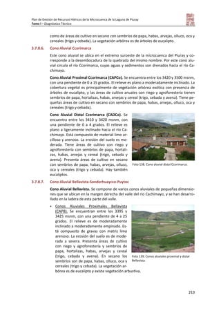Plan de Gestión de Recursos Hídricos de la Microcuenca de la Laguna de Piuray
Tomo I – Diagnóstico Técnico
213
como de áreas de cultivo en secano con sembríos de papa, habas, arvejas, olluco, oca y
cereales (trigo y cebada). La vegetación arbórea es de árboles de eucalipto.
3.7.8.6. Cono Aluvial Ccorimarca
Este cono aluvial se ubica en el extremo suroeste de la microcuenca del Piuray y co-
rresponde a la desembocadura de la quebrada del mismo nombre. Por este cono alu-
vial circula el río Ccorimarca, cuyas aguas y sedimentos son drenados hacia el río Ca-
chimayo.
Cono Aluvial Proximal Ccorimarca (CAPCo). Se encuentra entre los 3420 y 3500 msnm,
con una pendiente de 0 a 15 grados. El relieve es plano a moderadamente inclinado. La
cobertura vegetal es principalmente de vegetación arbórea exótica con presencia de
árboles de eucalipto, y las áreas de cultivo anuales con riego y agroforestería tienen
sembríos de papa, hortalizas, habas, arvejas y cereal (trigo, cebada y avena). Tiene pe-
queñas áreas de cultivo en secano con sembríos de papa, habas, arvejas, olluco, oca y
cereales (trigo y cebada).
Cono Aluvial Distal Ccorimarca (CADCo). Se
encuentra entre los 3410 y 3420 msnm, con
una pendiente de 0 a 4 grados. El relieve es
plano a ligeramente inclinado hacia el río Ca-
chimayo. Está compuesto de material limo ar-
cilloso y arenoso. La erosión del suelo es mo-
derada. Tiene áreas de cultivo con riego y
agroforestería con sembríos de papa, hortali-
zas, habas, arvejas y cereal (trigo, cebada y
avena). Presenta áreas de cultivo en secano
con sembríos de papa, habas, arvejas, olluco,
oca y cereales (trigo y cebada). Hay también
eucaliptos.
3.7.8.7. Cono Aluvial Bellavista-Sondorhuaycco-Puytoc
Cono Aluvial Bellavista. Se compone de varios conos aluviales de pequeñas dimensio-
nes que se ubican en la margen derecha del valle del río Cachimayo, y se han desarro-
llado en la ladera de esta parte del valle.
 Conos Aluviales Proximales Bellavista
(CAPB). Se encuentran entre los 3395 y
3425 msnm, con una pendiente de 4 a 25
grados. El relieve es de moderadamente
inclinado a moderadamente empinado. Es-
tá compuesto de gravas con matriz limo
arenoso. La erosión del suelo es de mode-
rada a severa. Presenta áreas de cultivo
con riego y agroforestería y sembríos de
papa, hortalizas, habas, arvejas y cereal
(trigo, cebada y avena). En secano los
sembríos son de papa, habas, olluco, oca y
cereales (trigo y cebada). La vegetación ar-
bórea es de eucalipto y existe vegetación arbustiva.
Foto 138. Cono aluvial distal Ccorimarca.
Foto 139. Conos aluviales proximal y distal
Bellavista.
 