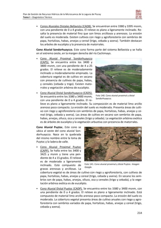 Plan de Gestión de Recursos Hídricos de la Microcuenca de la Laguna de Piuray
Tomo I – Diagnóstico Técnico
214
 Conos Aluviales Distales Bellavista (CADB). Se encuentran entre 3380 y 3395 msnm,
con una pendiente de 0 a 4 grados. El relieve es plano a ligeramente inclinado. Re-
salta la presencia de material fino que son limos arcillosos y arenosos. La erosión
del suelo es moderada. Existen cultivos con riego y agroforestería con sembríos de
papa, hortalizas, habas, arvejas y cereal (trigo, cebada y avena). También destacan
los arboles de eucalipto y la presencia de matorrales.
Cono Aluvial Sondorhuaycco. Este cono forma parte del sistema Bellavista y se halla
en el extremo oeste, en la margen derecha del río Cachimayo.
 Cono Aluvial Proximal Sondorhuaycco
(CAPS). Se encuentra entre los 3400 y
3800 msnm, con una pendiente de 4 a 25
grados. El relieve es de moderadamente
inclinado a moderadamente empinado. La
cobertura vegetal es de cultivo en secano
con presencia de cultivos de papa, habas,
y cereales (cebada y trigo). Existen mato-
rrales y vegetación arbórea de eucalipto.
 Cono Aluvial Distal Sondorhuaycco (CADS).
Se encuentra entre los 3380 y 3400 msnm,
con una pendiente de 0 a 4 grados. El re-
lieve es plano a ligeramente inclinado. Su composición es de material limo arcillo
arenoso poco compacto. La erosión del suelo es moderada. Presenta áreas de culti-
vo con riego y agroforestería con sembríos de papa, hortalizas, habas, arvejas y ce-
real (trigo, cebada y avena). Las áreas de cultivo en secano son sembríos de papa,
habas, arvejas, olluco, oca y cereales (trigo y cebada). La vegetación arbórea exótica
es de árboles de eucalipto y la vegetación arbustiva con presencia de matorrales.
Cono Aluvial Puytoc. Este cono se
ubica al oeste del cono aluvial Son-
dorhuaycco. Nace en la quebrada
del mismo nombre entre la loma de
Puytoc y la ladera de valle.
 Cono Aluvial Proximal Puytoc
(CAPP). Se halla entre los 3400 y
3425 y msnm y tiene una pen-
diente de 4 a 15 grados. El relieve
es de moderado a ligeramente
inclinado. Está compuesto de
gravas arenosas y arcillosas. La
cobertura vegetal es de áreas de cultivo con riego y agroforestería, con cultivos de
papa, hortalizas, habas, arvejas y cereal (trigo, cebada y avena). En secano los sem-
bríos son de papa, habas, arvejas, olluco, oca y cereales (trigo y cebada), y la vege-
tación arbórea exótica es de eucalipto.
 Cono Aluvial Distal Puytoc (CADP). Se encuentra entre los 3380 y 3400 msnm, con
una pendiente de 0 a 4 grados. El relieve es plano a ligeramente inclinado. Está
compuesto de material limo arcillo arenoso poco compacto. La erosión del suelo es
moderada. La cobertura vegetal presenta áreas de cultivo anuales con riego y agro-
forestería con sembríos variados de papa, hortalizas, habas, arvejas y cereal (trigo,
cebada y avena).
Foto 140. Cono aluvial proximal y distal
Sondorhuaycco.
Foto 141. Cono aluvial proximal y distal Puytoc. Imagen
Google.
 