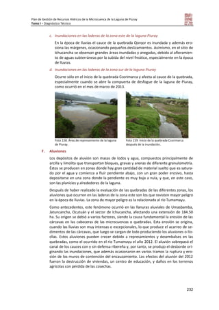 Plan de Gestión de Recursos Hídricos de la Microcuenca de la Laguna de Piuray
Tomo I – Diagnóstico Técnico
232
c. Inundaciones en las laderas de la zona este de la laguna Piuray
En la época de lluvias el cauce de la quebrada Qorqor es inundada y además ero-
siona las márgenes, ocasionando pequeños deslizamientos. Asimismo, en el sitio de
Ichucancha se observan grandes áreas inundadas y anegadas, debido al afloramien-
to de aguas subterráneas por la subida del nivel freático, especialmente en la época
de lluvias.
d. Inundaciones en las laderas de la zona sur de la laguna Piuray
Ocurre sólo en el inicio de la quebrada Ccorimarca y afecta al cauce de la quebrada,
especialmente cuando se abre la compuerta de desfogue de la laguna de Piuray,
como ocurrió en el mes de marzo de 2013.
Foto 158. Área de represamiento de la laguna
de Piuray.
Foto 159. Inicio de la quebrada Ccorimarca
después de la inundación.
F. Aluviones
Los depósitos de aluvión son masas de lodos y agua, compuestos principalmente de
arcilla y limolita que transportan bloques, gravas y arenas de diferente granulometría.
Éstos se producen en zonas donde hay gran cantidad de material suelto que es satura-
do por el agua y comienza a fluir pendiente abajo, con un gran poder erosivo, hasta
depositarse en una zona donde la pendiente es muy baja a nula, y que, en este caso,
son las planicies y alrededores de la laguna.
Después de haber realizado la evaluación de las quebradas de las diferentes zonas, los
aluviones que ocurren en las laderas de la zona este son los que revisten mayor peligro
en la época de lluvias. La zona de mayor peligro es la relacionada al río Tumamayu.
Como antecedentes, este fenómeno ocurrió en las llanuras aluviales de Umasbamba,
Jatuncancha, Ocutuán y el sector de Ichucancha, afectando una extensión de 184.50
ha. Su origen se debió a varios factores, siendo la causa fundamental la erosión de las
cárcavas en las cabeceras de las microcuencas o quebradas. Esta erosión se origina,
cuando las lluvias son muy intensas o excepcionales, lo que produce el acarreo de se-
dimentos de las cárcavas, que luego se cargan de lodo produciendo los aluviones o llo-
cllas. Estos aluviones pueden crecer debido a represamientos y desembalses en las
quebradas, como el ocurrido en el río Tumamayu el año 2012. El aluvión sobrepasó el
canal de los cauces con y sin defensa ribereña y, por tanto, se produjo el desborde ori-
ginando las inundaciones, que además ocasionaron en varios tramos la ruptura y ero-
sión de los muros de contención del encauzamiento. Los efectos del aluvión del 2012
fueron la destrucción de viviendas, un centro de educación, y daños en los terrenos
agrícolas con pérdida de las cosechas.
 