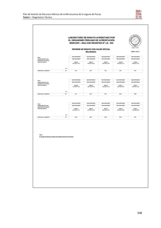 Tomo i   diagnostico piuray final