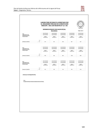 Tomo i   diagnostico piuray final