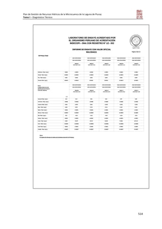 Tomo i   diagnostico piuray final