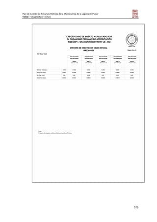 Tomo i   diagnostico piuray final