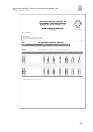 Tomo i   diagnostico piuray final