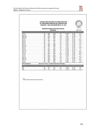 Tomo i   diagnostico piuray final