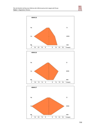 Tomo i   diagnostico piuray final