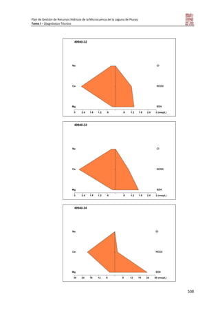 Tomo i   diagnostico piuray final