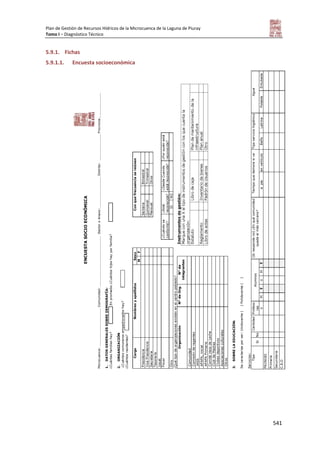 Tomo i   diagnostico piuray final
