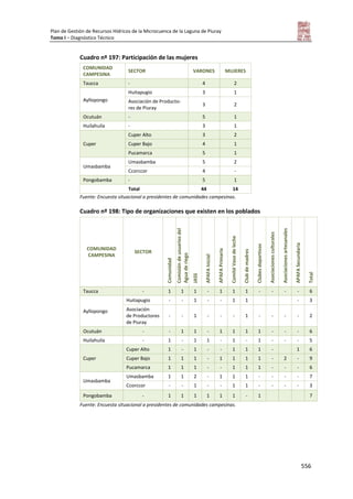 Tomo i   diagnostico piuray final