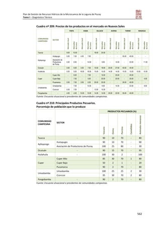 Tomo i   diagnostico piuray final