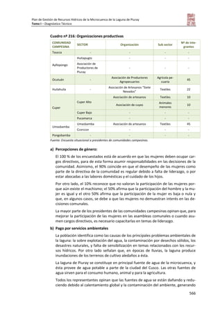 Tomo i   diagnostico piuray final