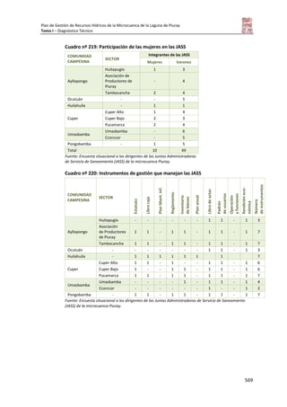 Tomo i   diagnostico piuray final