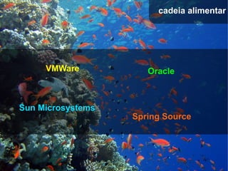 cadeia alimentar




     VMWare           Oracle



Sun Microsystems
                   Spring Source
 