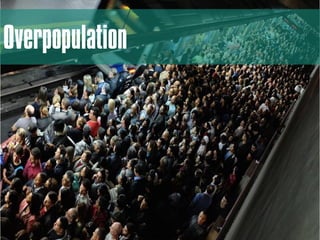 Overpopulation
 