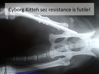 Cyborg Kitteh sez resistance is futile! http://www.flickr.com/photos/frankenstoen/357287401/ 