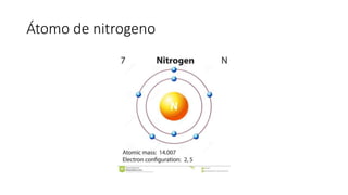 Átomo de nitrogeno