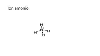 Ion amonio