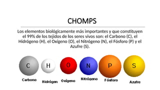 Chonps Bioelementos UNIONES QUIMICAS CIENCIAS BIOLOGICAS I ENFERMERIA | PPTX