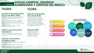 Revisión y Ajuste
Plan de Ordenamiento Territorial
ANÁLISIS AMBIENTAL, SEGURIDAD
ALIMENTARIA Y GESTIÓN DEL RIESGO
DIAGNÓSTICO
TERRITORIAL
FAUNA
Especies amenazadas (UICN,
Res.126 de 2024 y CITES)
Mamíferos: Tapirus pinchaque (EN), Tremarctos
ornatus (VU), Leopardus wiedii (NT), Aotus
lemurinus (VU)
Aves: Penelope perspicax (EN), Setophaga
cerulea (VU), Chloropipo flavicapilla (VU)
Anfibios: Gastrotheca antomia (CR), Pristimantis
molybrignus (CR)
Reptiles: Crocodylus acutus (VU, CITES I),
Podocnemis lewyana (CR)
Altísima concentración de
endemismos
Anfibios (Pristimantis, Strabomantis), aves
(Picumnus granadensis, Tangara vitriolina) y
roedores.
Especies con funciones
ecológicas clave:
Murciélagos frugívoros (Artibeus spp.): dispersores
de semillas
Aves insectívoras (Tyrannidae): reguladores
biológicos
Mamíferos grandes (Oso de anteojos, felinos,
tapir): indicadores de calidad del hábitat.
FLORA
Especies amenazadas
(Res.126 de 2024)
Otoba lehmannii (En peligro)
Juglans neotropica (En peligro)
Magnolia hernandezii (En peligro)
Cedrela montana (En peligro)
Gustavia speciosa (En peligro)
Quercus humboldtii (Vulnerable)
Ceroxylon quindiuense (Vulnerable)
Bactris gasipaes (Vulnerable)
Especies CITES
Catasetum ochraceum
Comparettia falcata
Epidendrum melinanthum
Epidendrum radicans
Galeandra beyrichii
 