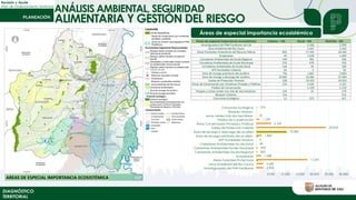 Revisión y Ajuste
Plan de Ordenamiento Territorial
ANÁLISIS AMBIENTAL, SEGURIDAD
ALIMENTARIA Y GESTIÓN DEL RIESGO
DIAGNÓSTICO
TERRITORIAL
Áreas de especial importancia ecosistémica
2.506
2.442
17.591
1.638
362
470
34
3
1.847
10.383
23.923
5.105
1.159
25
-
375
- 5.000 10.000 15.000 20.000 25.000 30.000
Amortiguadora del PNN Farallones
Zona Ambiental del Río Cauca
Áreas Forestales Protectoras
Ecoparques
Corredores Ambientales Escala Regional
Corredores Ambientales Escala Municipal
Corredores Ambientales Escala Zonal
AFP Humedales Urbanos
Zona de recarga prioritaria del acuífero
Zona de recarga y descarga del acuífero
Suelos de Protección Forestal
Áreas Conservación Privadas y Públicas
Predios de Conservación
zonas verdes más dos hectáreas
Bosques Urbanos
Cinturones Ecológicos
Áreas de especial importancia ecosistémica Urbano – HA Rural - HA Distrital - HA
Amortiguadora del PNN Farallones de Cali - 2.506 2.506
Zona Ambiental del Río Cauca - 2.442 2.442
Áreas Forestales Protectoras del Recurso hídrico 691 17.591 18.282
Ecoparques 45 1.638 1.684
Corredores Ambientales de Escala Regional 144 362 506
Corredores Ambientales de Escala Municipal 232 470 702
Corredores Ambientales de Escala Zonal 134 34 169
AFP Humedales Urbanos 62 3 65
Zona de recarga prioritaria del acuífero 756 1.847 2.603
Zona de recarga y descarga del acuífero 10.681 10.383 21.064
Suelos de Protección Forestal 100 23.923 24.023
Áreas de Conservación por Iniciativas Privadas y Públicas 216 5.105 5.321
Predios de Conservación - 1.159 1.159
Parques y zonas verdes con más de dos hectáreas 154 25 179
Bosques Urbanos 214 - 214
Cinturones Ecológicos 51 375 427
 