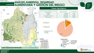 ANÁLISIS AMBIENTAL, SEGURIDAD
Revisión y Ajuste
Plan de Ordenamiento Territorial
DIAGNÓSTICO
TERRITORIAL
ALIMENTARIA Y GESTIÓN DEL RIESGO
Clases Agrológicas
Clase agrológica determinantes en
zona plana
Área hectáreas Porcentaje
Clase II 1.048,39 2,6%
Clase III 4.519,46 11,2%
Clases IV, VI, VII VIII 34.700,00 86,2%
Total clases 40.267,86 100,0%
2,6%
11,2%
86,2%
Clase II
Clase III
Clases IV, VI,
VII VIII
 