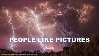 Francisco Negroni / Wildlife Photographer of the Year 2014