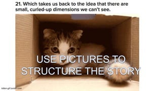 kitten-gif.tumblr.com