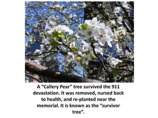 Tom Houston's 9/11 memorial slide show | PPTX