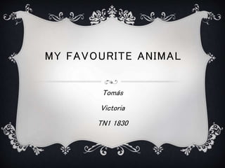 MY FAVOURITE ANIMAL
Tomás
Victoria
TN1 1830
 