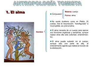 Hombre
Compuesto
No existe dualismo como en Platón. El
cuerpo, tras la resurrección, “transfigurado” e
incorruptible, se unirá al alma.
El alma necesita de un cuerpo para ejercer
sus funciones orgánicas y sensitivas, aunque
realiza otras ella sola (voluntad, entendimien-
to).
El alma puede subsistir sin el cuerpo,
aunque sólo una parte de ella, el
entendimiento agente que realiza la función de
la abstracción.
Materia: cuerpo
Forma: alma
 