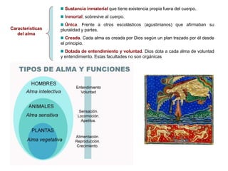 Características
del alma
Sustancia inmaterial que tiene existencia propia fuera del cuerpo.
Inmortal, sobrevive al cuerpo.
Única. Frente a otros escolásticos (agustinianos) que afirmaban su
pluralidad y partes.
Creada. Cada alma es creada por Dios según un plan trazado por él desde
el principio.
Dotada de entendimiento y voluntad. Dios dota a cada alma de voluntad
y entendimiento. Estas facultades no son orgánicas
 
