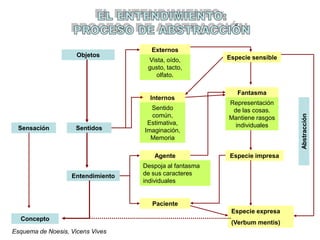 Sensación
Concepto
Objetos
Sentidos
Entendimiento
Externos
Internos
Agente
Paciente
Especie sensible
Fantasma
Especie impresa
Especie expresa
(Verbum mentis)
Abstracción
Vista, oído,
gusto, tacto,
olfato.
Sentido
común,
Estimativa,
Imaginación,
Memoria
Representación
de las cosas.
Mantiene rasgos
individuales
Despoja al fantasma
de sus caracteres
individuales
Esquema de Noesis, Vicens Vives
 
