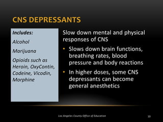 CNS DEPRESSANTS
Includes:
Alcohol
Marijuana
Opioids such as
Heroin, OxyContin,
Codeine, Vicodin,
Morphine

Slow down mental and physical
responses of CNS
• Slows down brain functions,
breathing rates, blood
pressure and body reactions
• In higher doses, some CNS
depressants can become
general anesthetics

Los Angeles County Office of Education

10

 