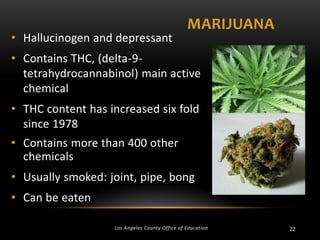 • Hallucinogen and depressant

MARIJUANA

• Contains THC, (delta-9tetrahydrocannabinol) main active
chemical
• THC content has increased six fold
since 1978
• Contains more than 400 other
chemicals

• Usually smoked: joint, pipe, bong
• Can be eaten
Los Angeles County Office of Education

22

 