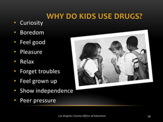 • Curiosity

WHY DO KIDS USE DRUGS?

• Boredom
• Feel good
• Pleasure
• Relax
• Forget troubles
• Feel grown up
• Show independence

• Peer pressure
Los Angeles County Office of Education

28

 