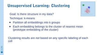 Unsupervised Learning: Clustering
Goal: Is there structure in my data?
Technique: k-means
● Partition all embeddings into ...